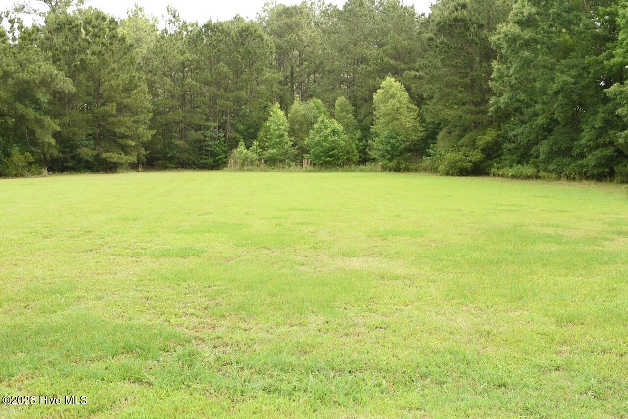 1430 Nixonton Road Elizabeth City, NC 27909 - Photo 6 of 30 Plenty of wide open in the backyard for a pool, garden, animals, etc. The possibilities are endless! The property line is behind the woods.