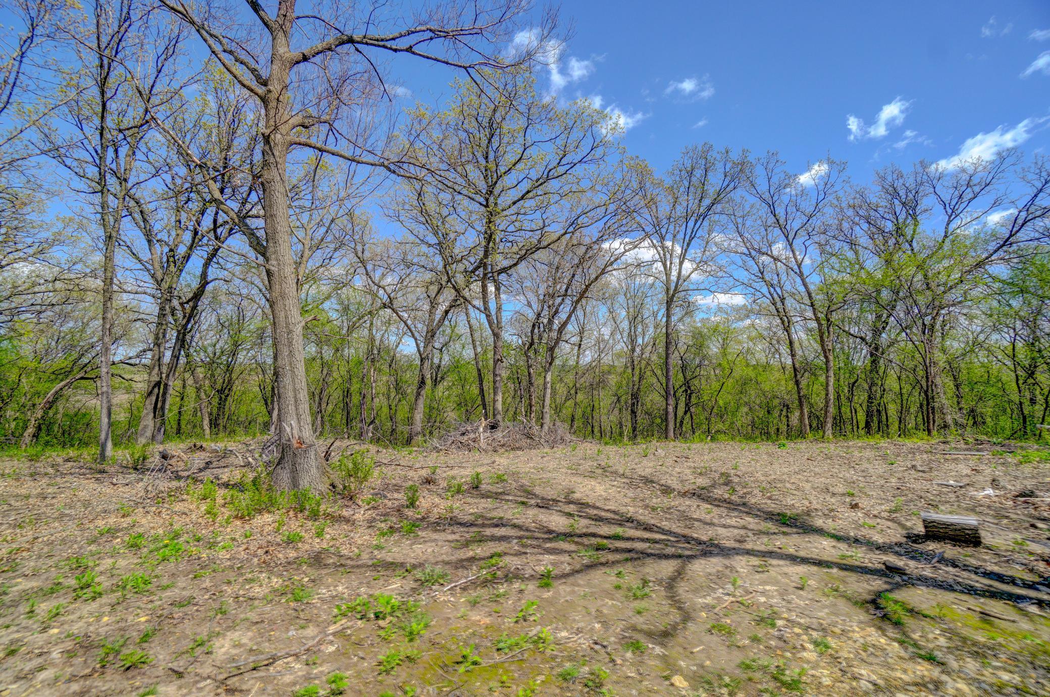 251 Saddle Ridge Lane River Falls, WI 54022 - Photo 1 of 5