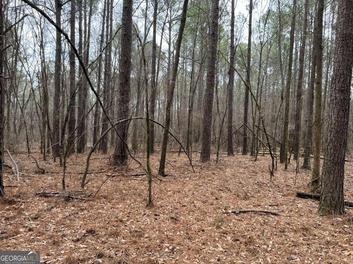 Lot B Salem Road Watkinsville, GA 30677 - Photo 16 of 23