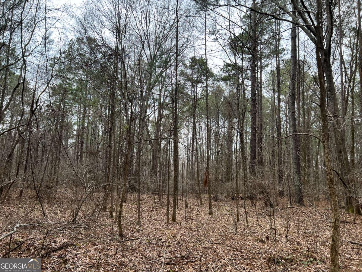 Lot B Salem Road Watkinsville, GA 30677 - Photo 17 of 23