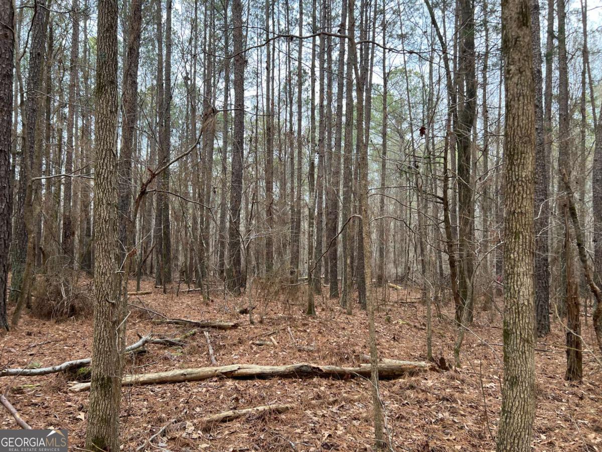 Lot B Salem Road Watkinsville, GA 30677 - Photo 21 of 23