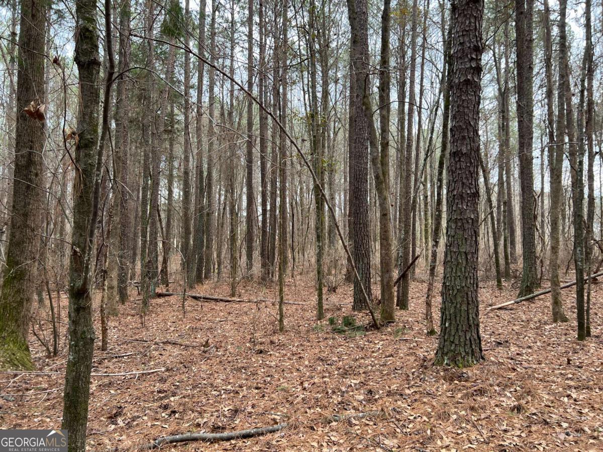 Lot B Salem Road Watkinsville, GA 30677 - Photo 22 of 23