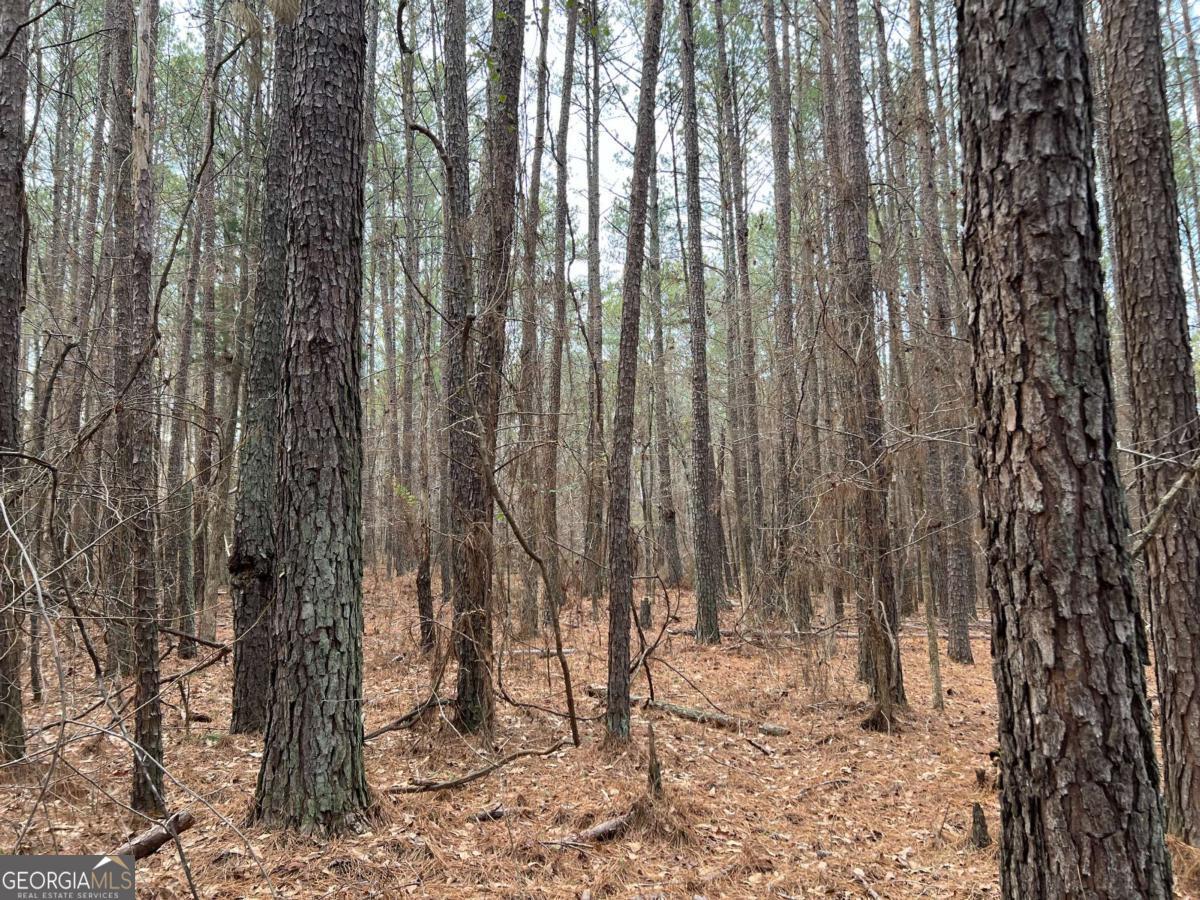 Lot B Salem Road Watkinsville, GA 30677 - Photo 23 of 23