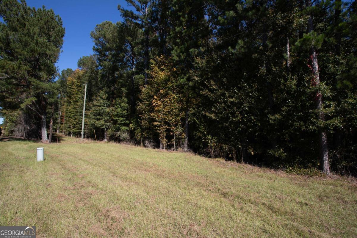 Lot B Salem Road Watkinsville, GA 30677 - Photo 8 of 23