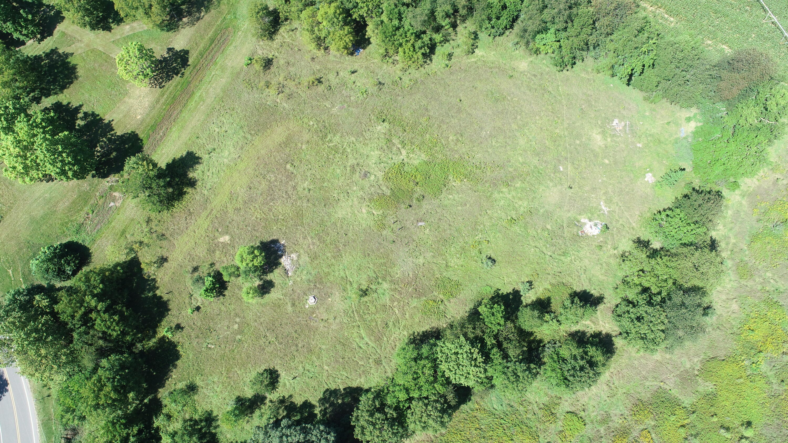 44750 County Road 352 Decatur, MI 49045 - Photo 3 of 6 DJI_0213