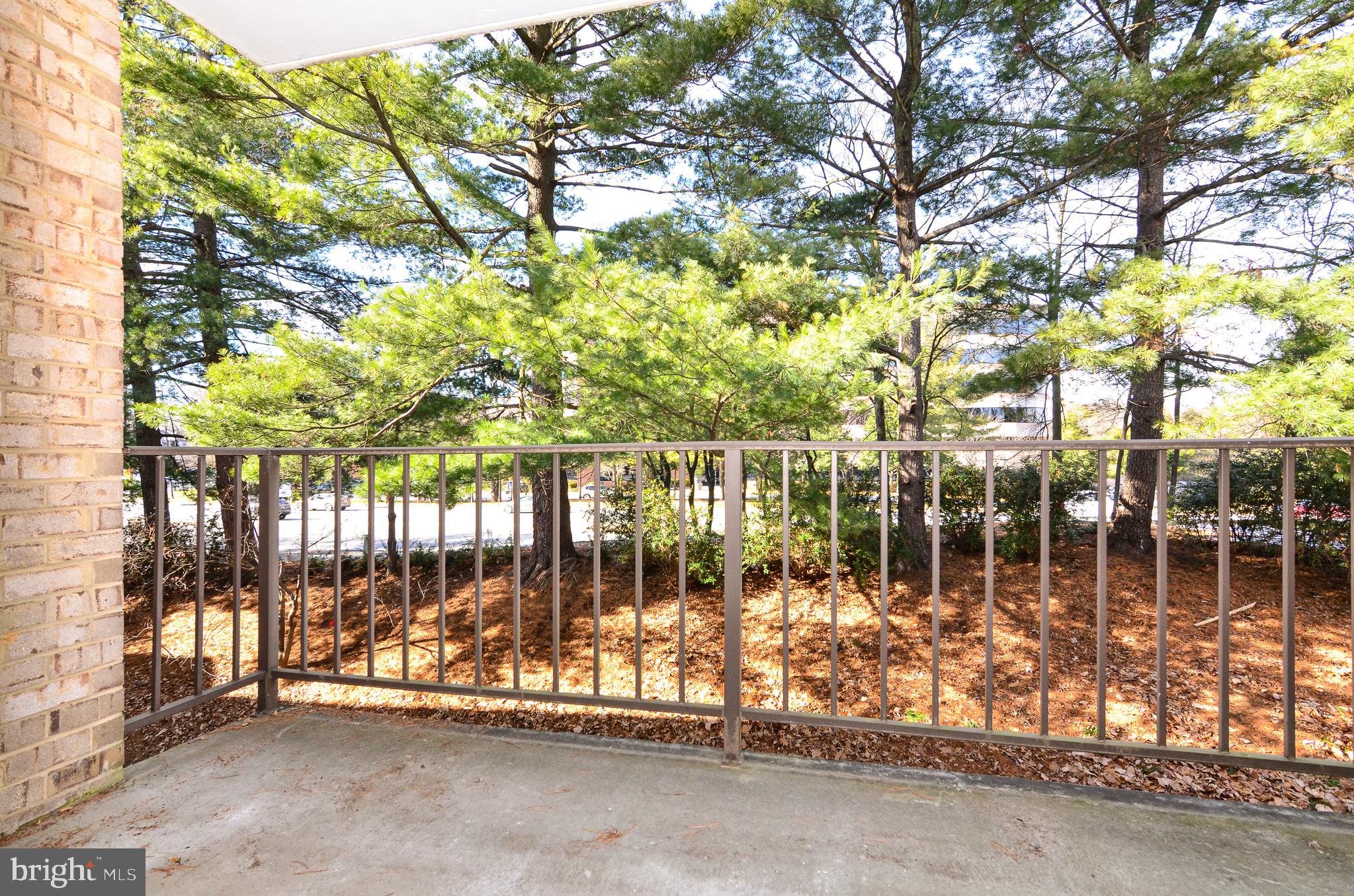 2073 Royal Fern Court, Unit 11B Reston, VA 20191 - Photo 20 of 22 Back terrace