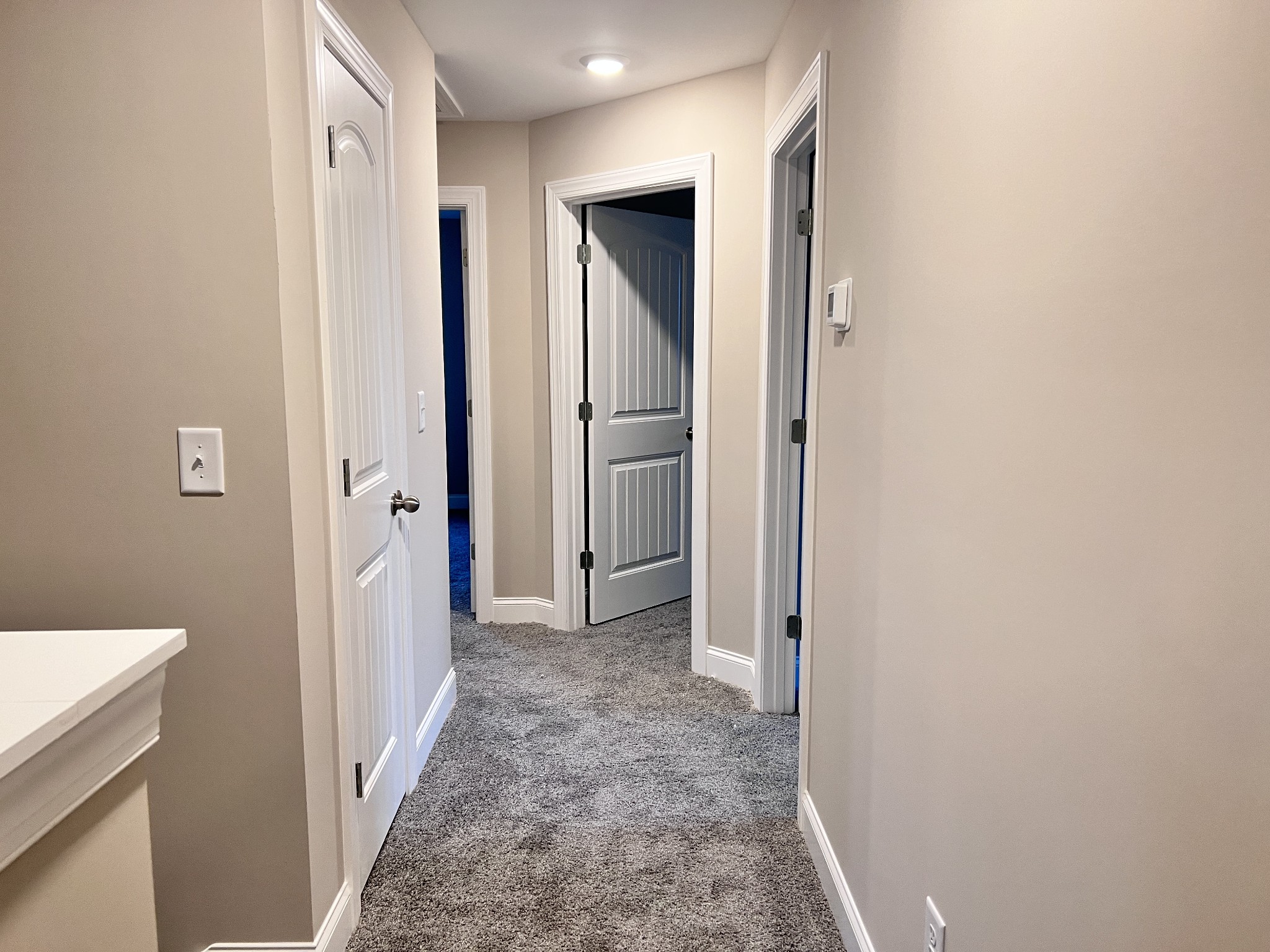 442 Generosity Way Smyrna, TN 37167 - Photo 20 of 59 a view of a hallway with a dining area