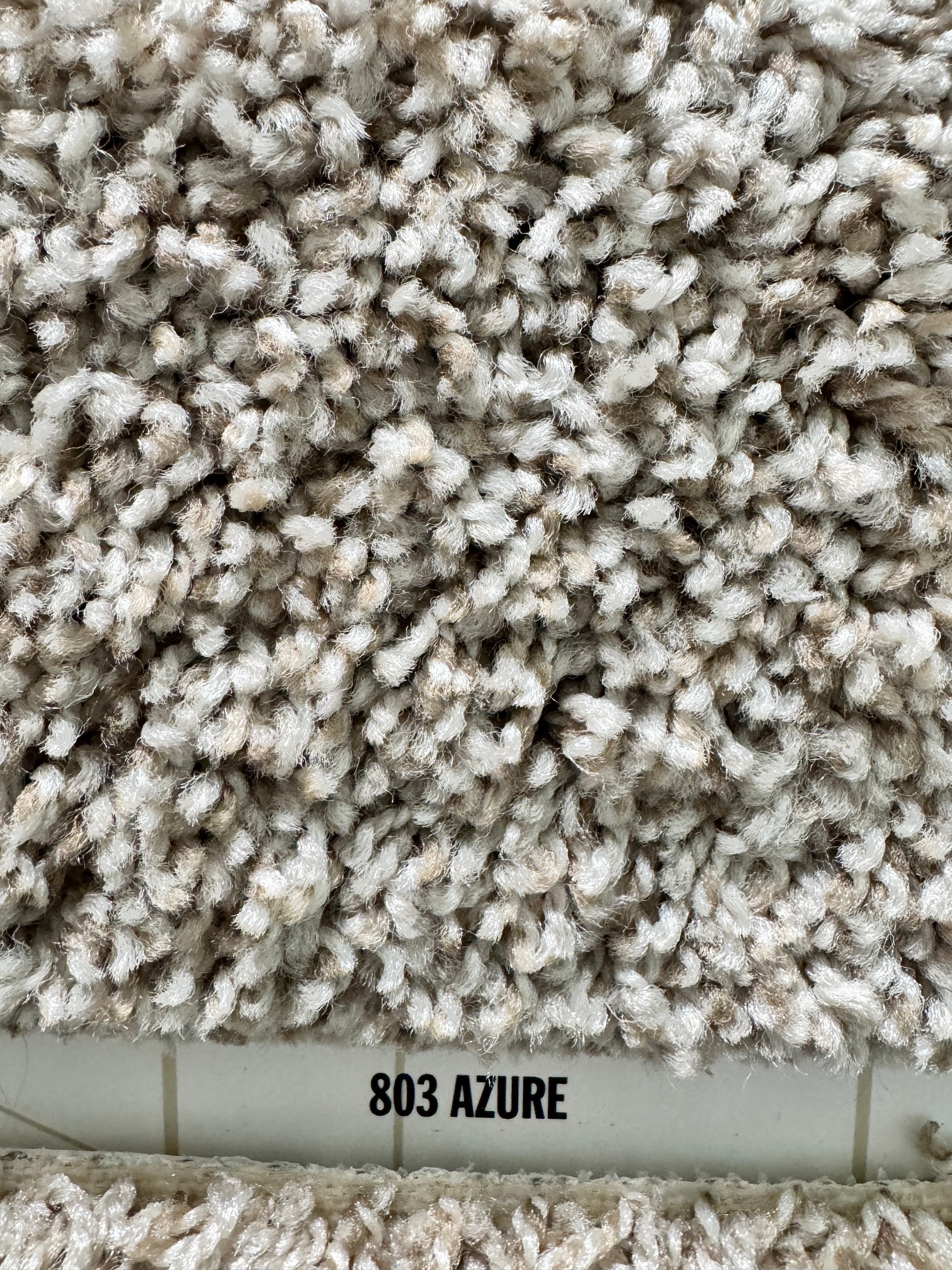 442 Generosity Way Smyrna, TN 37167 - Photo 60 of 62