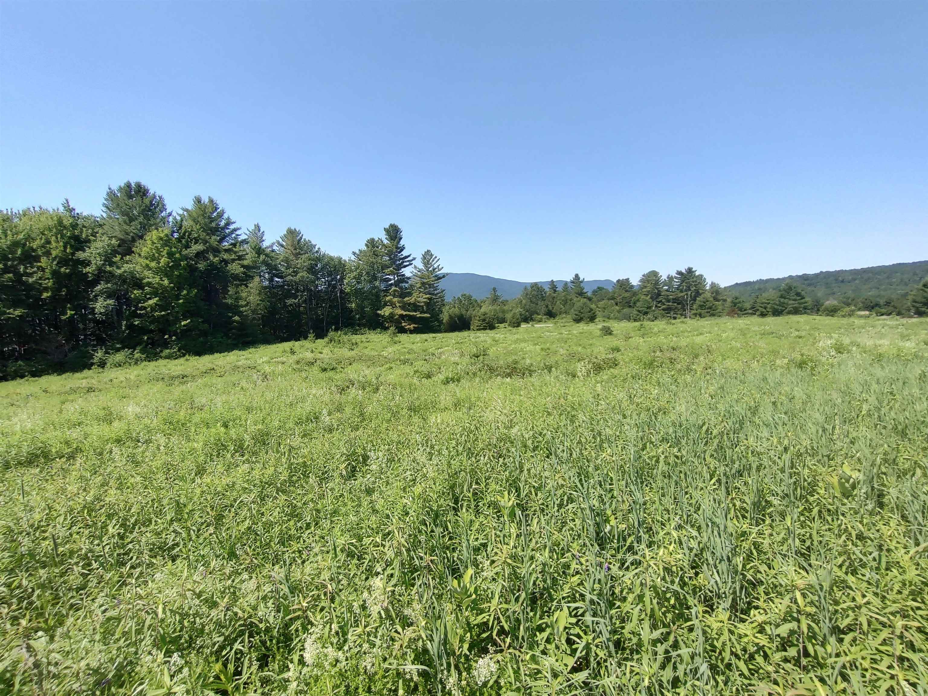 0 Plot Road, Unit 3 Johnson, VT 05656 - Photo 4 of 6
