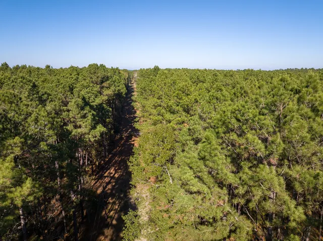 an aerial view of a houses with a yard