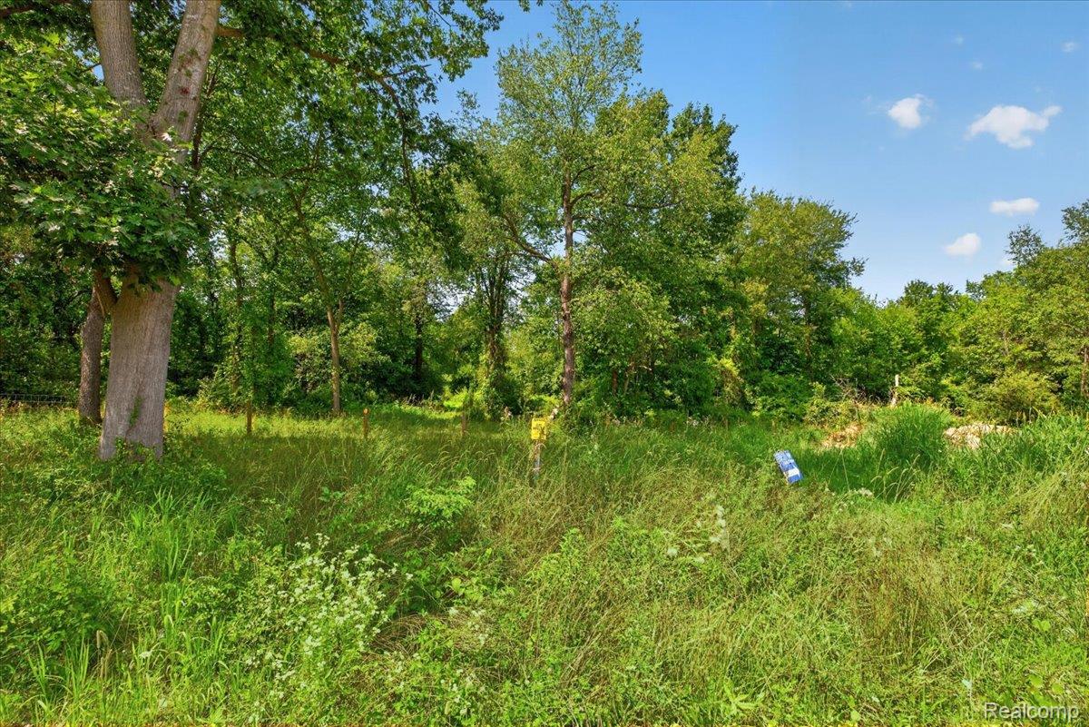 5000 Metamora Ridge Road Metamora, MI 48455 - Photo 10 of 23 02-2026.08.10_Acloutier_5000-5005Metamoraridge397.jpg