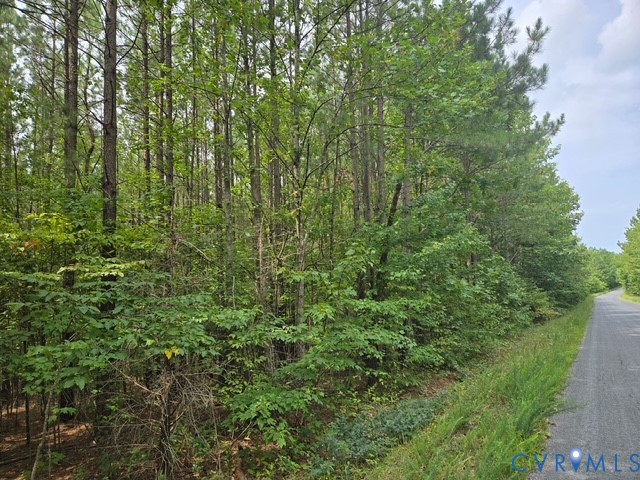 0 Miller Camp Road Buckingham, VA 23921 - Photo 2 of 4 Gallery Image 2