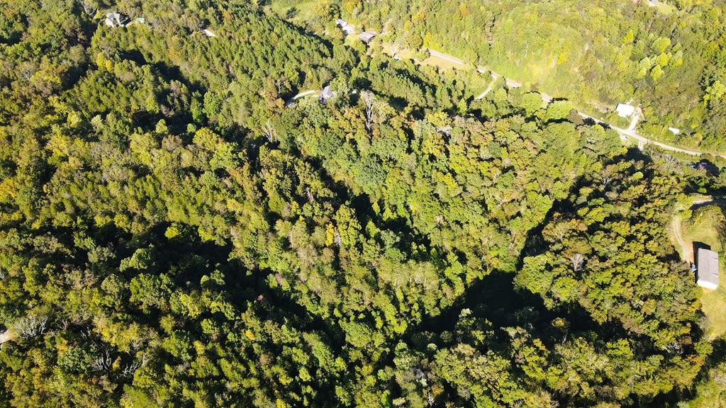 0 Reagan Branch Road Seymour, TN 37865 - Photo 15 of 31