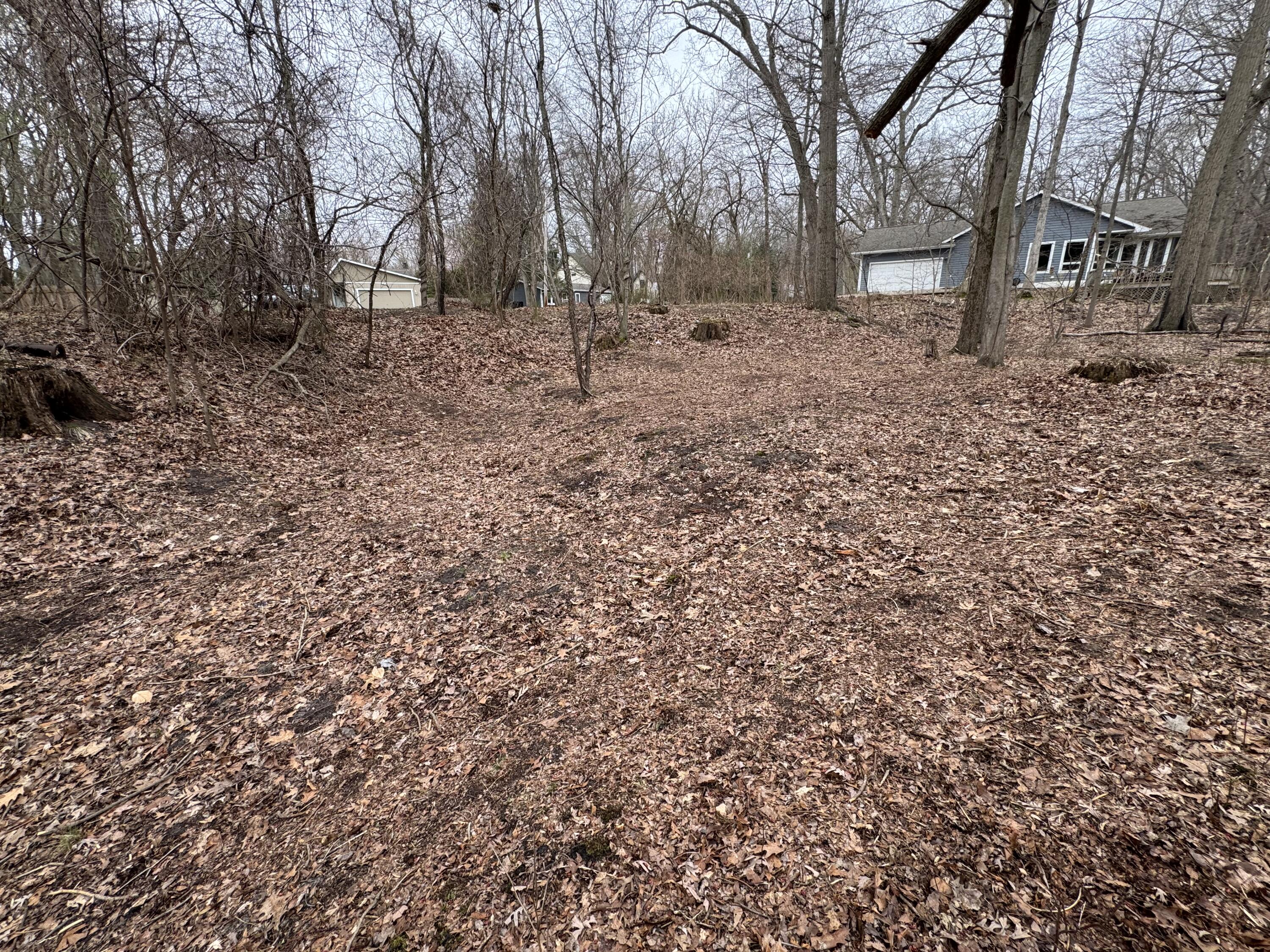 4202 Grand Bch Road Michiana, MI 49117 - Photo 9 of 20 Anest looking toward neighbor to the wes