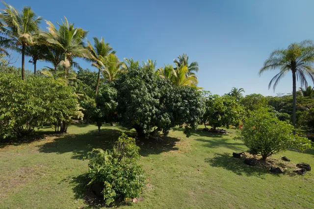 $695,000 | 13-125 Nalu Place, Pahoa, HI 96778