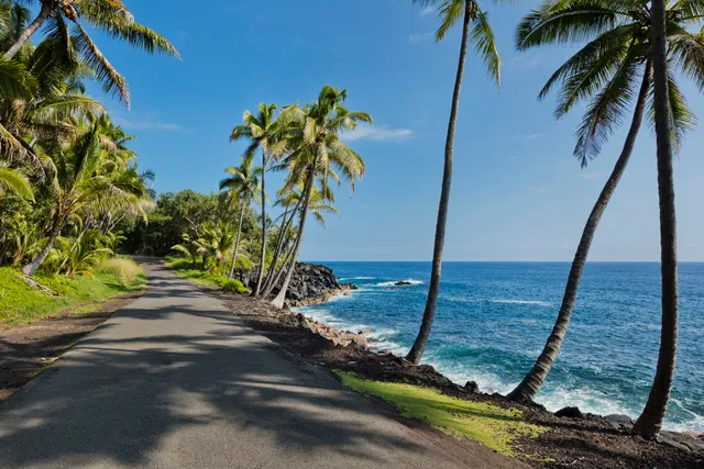 $695,000 | 13-125 Nalu Place, Pahoa, HI 96778