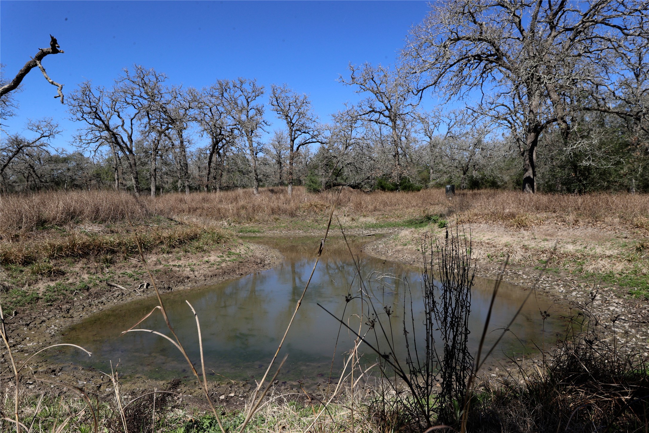 3337 Brunes Mill Road Columbus, TX 78934 - Photo 36 of 48