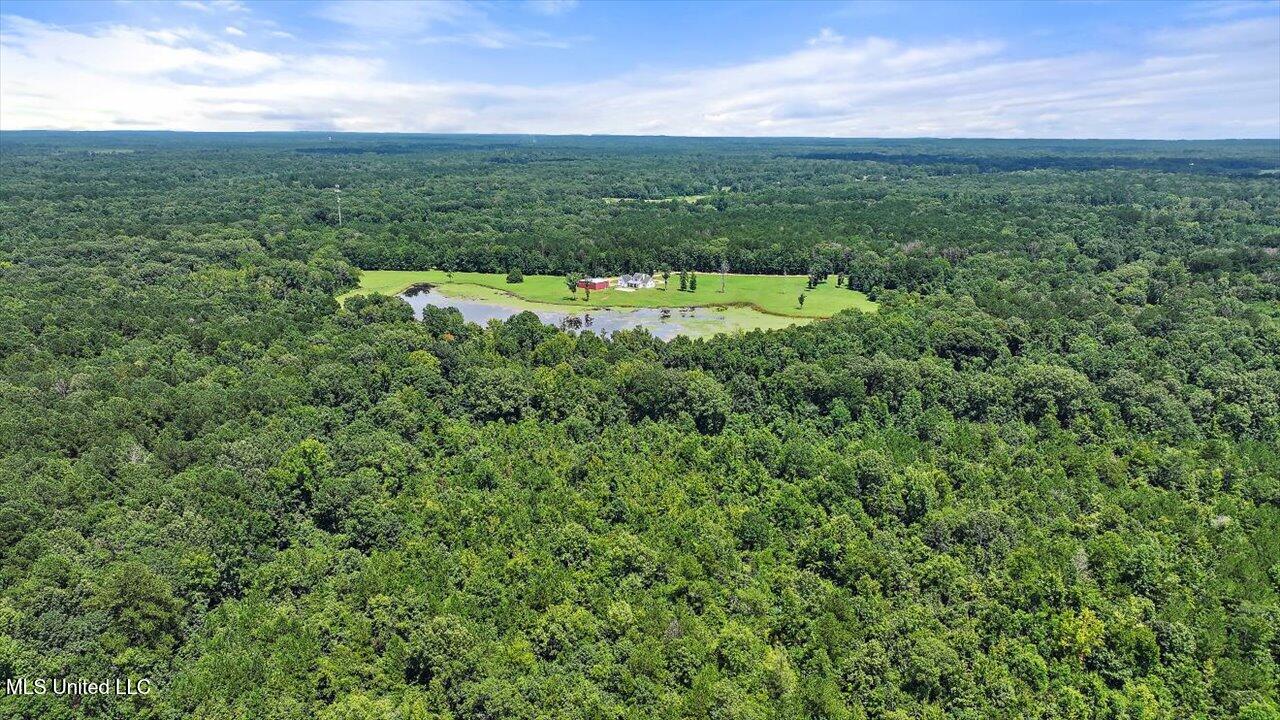 297 Barnes Road Florence, MS 39073 - Photo 114 of 170 080-297 Barnes Rd