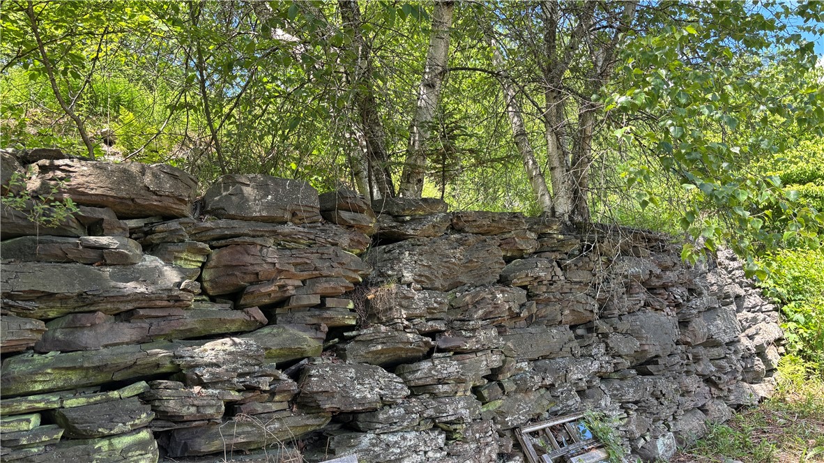 2613 Murphy Hill Road Andes, NY 13731 - Photo 14 of 35