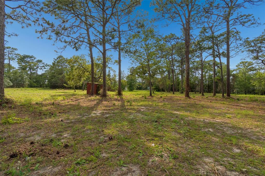 Grove Road Brooksville, FL 34613 - Photo 13 of 26