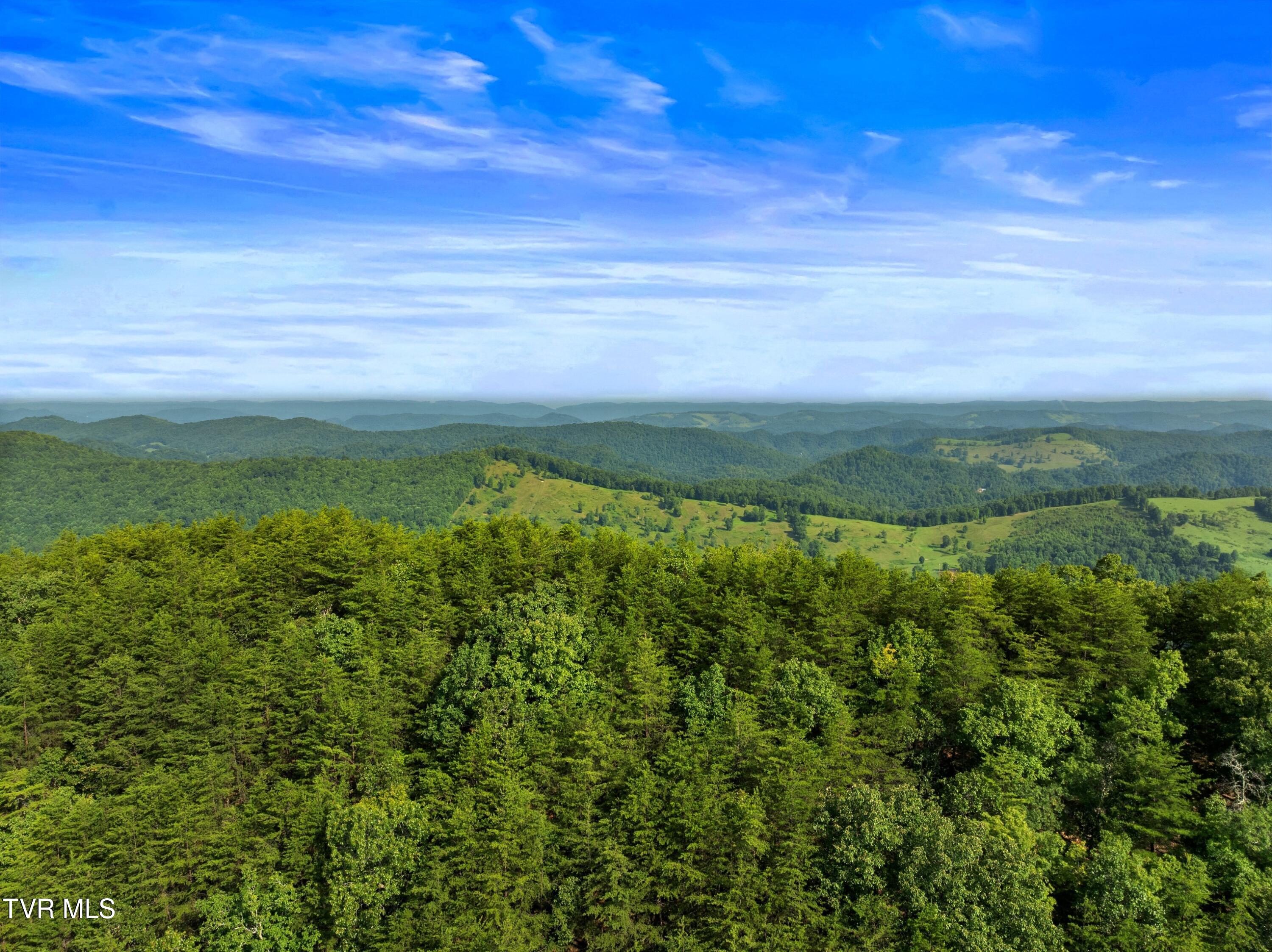 823 Fishers Creek Road Rogersville, TN 37857 - Photo 17 of 29 DJI_20240807095421_0041_D.jpg-SMALL