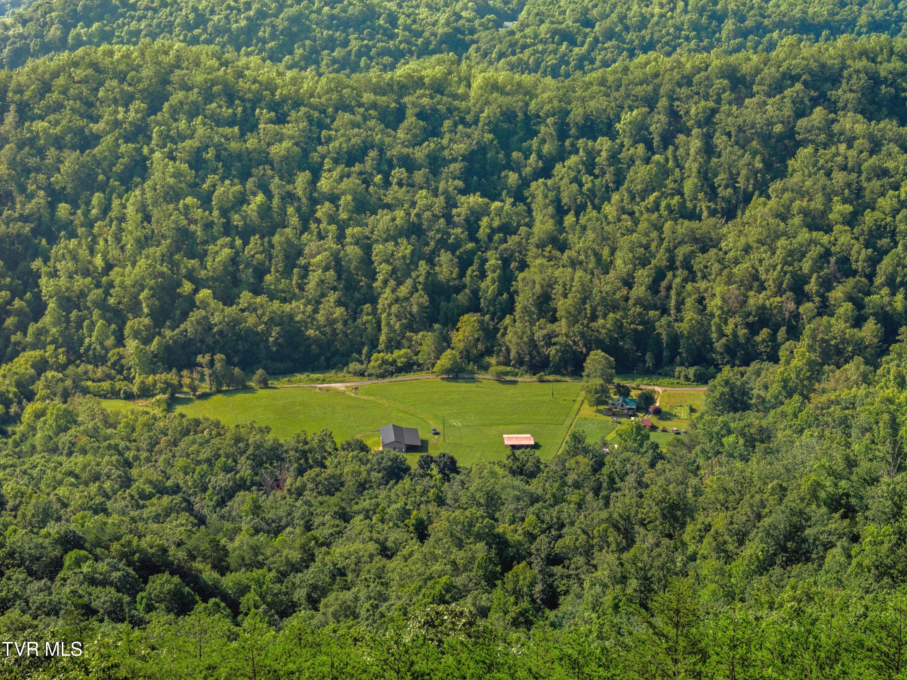 823 Fishers Creek Road Rogersville, TN 37857 - Photo 18 of 29 DJI_20240807095524_0046_D.jpg-SMALL