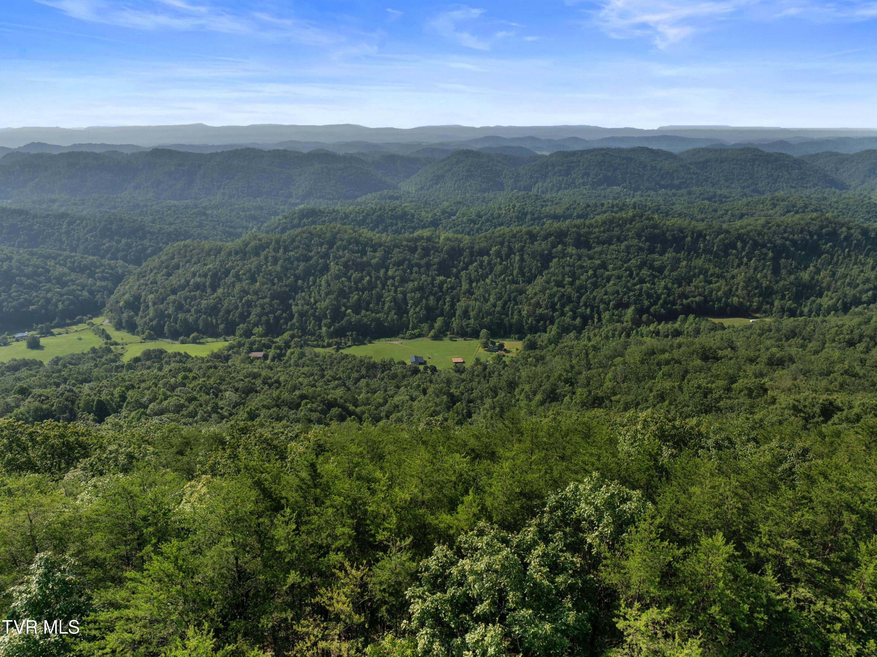823 Fishers Creek Road Rogersville, TN 37857 - Photo 19 of 29 DJI_20240807095538_0051_D.jpg-SMALL