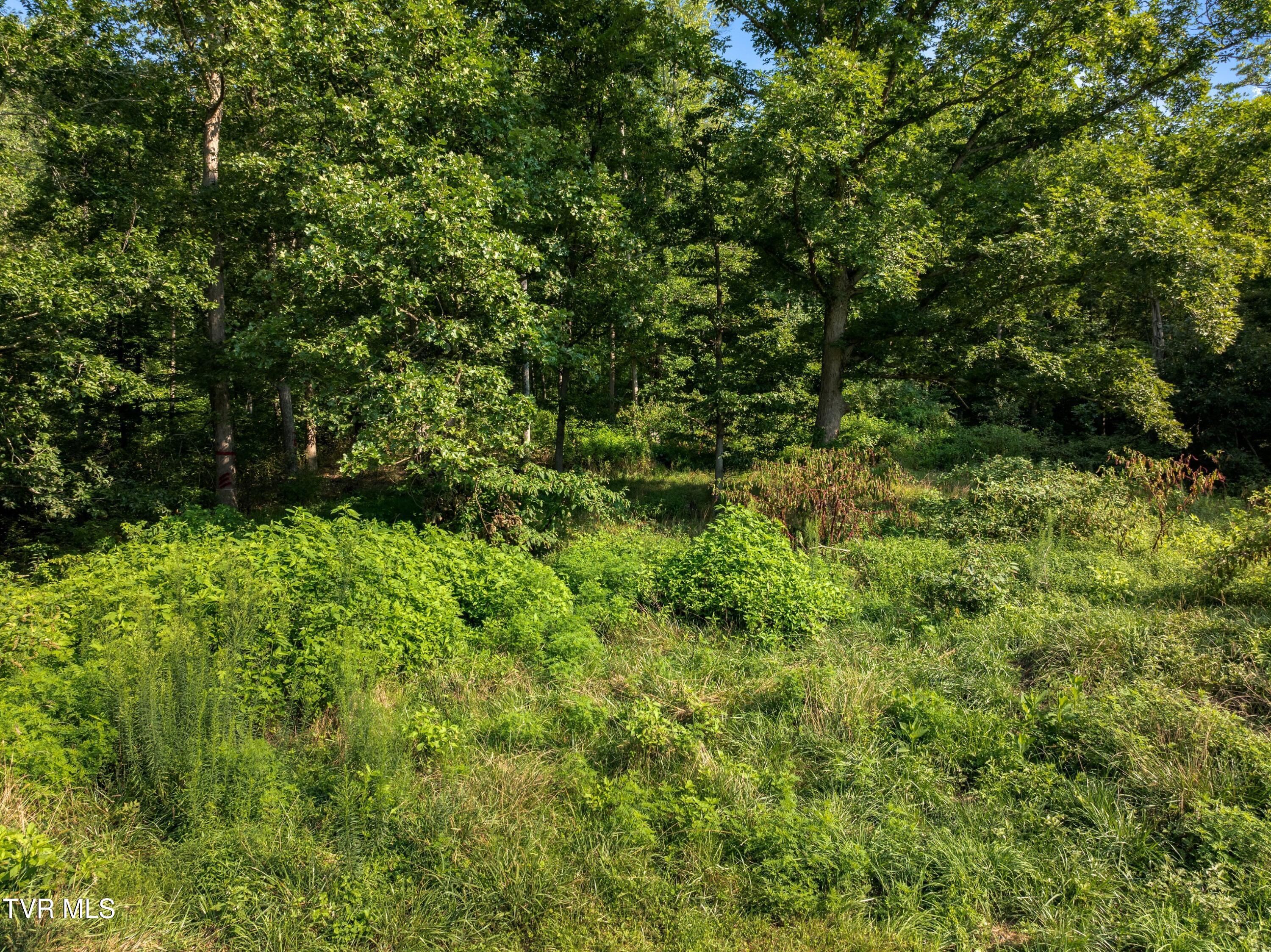 823 Fishers Creek Road Rogersville, TN 37857 - Photo 25 of 29 DJI_20240807095927_0081_D.jpg-SMALL