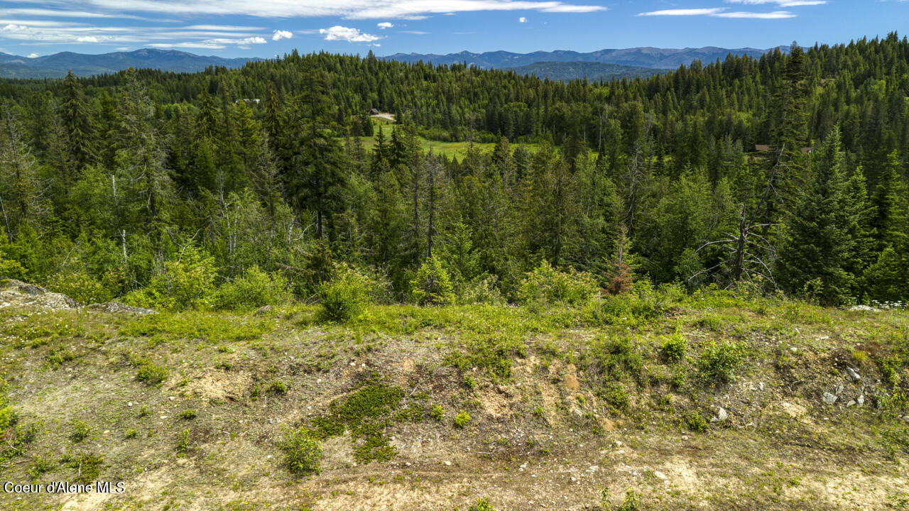 1356 Hidden Valley Road Sandpoint, ID 83864 - Photo 13 of 18 .