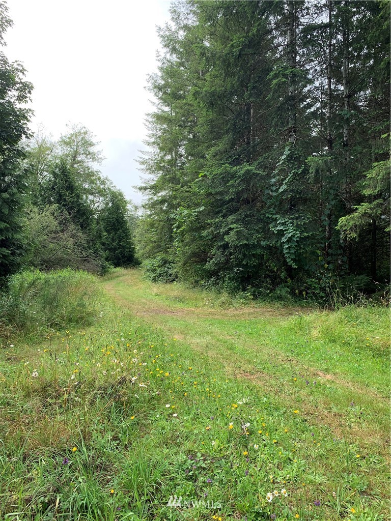 150 West Decker Heights Road Elma, WA 98541 - Photo 2 of 11 Gallery Image 2