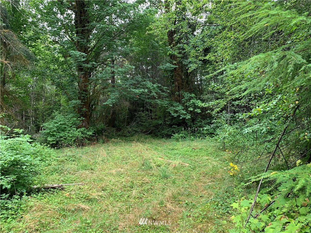 150 West Decker Heights Road Elma, WA 98541 - Photo 10 of 11 Gallery Image 10