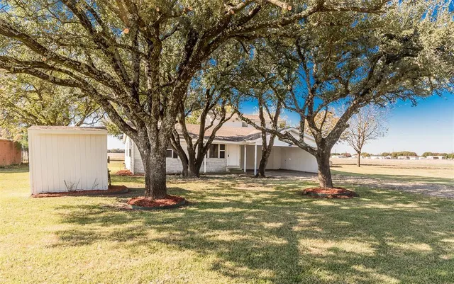 a view of a yard with a tree