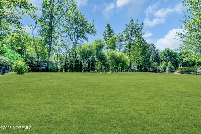 a view of a garden with trees
