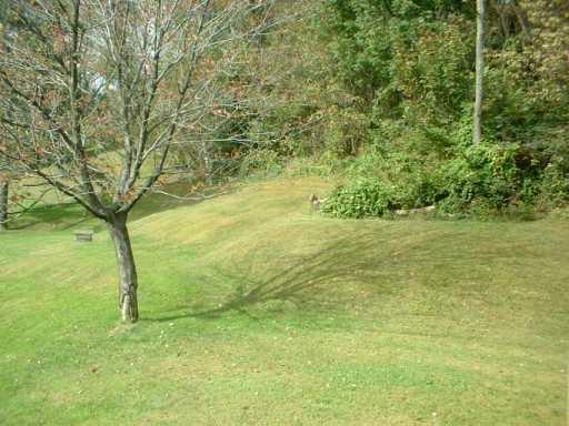 814 Reno Street Extensio Rochester, PA 15074 - Photo 7 of 8 Yard/Garden.