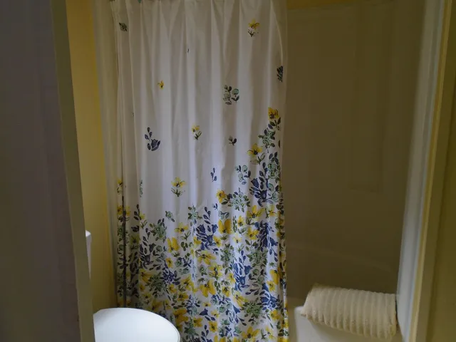 a bathroom with a toilet and a shower curtain