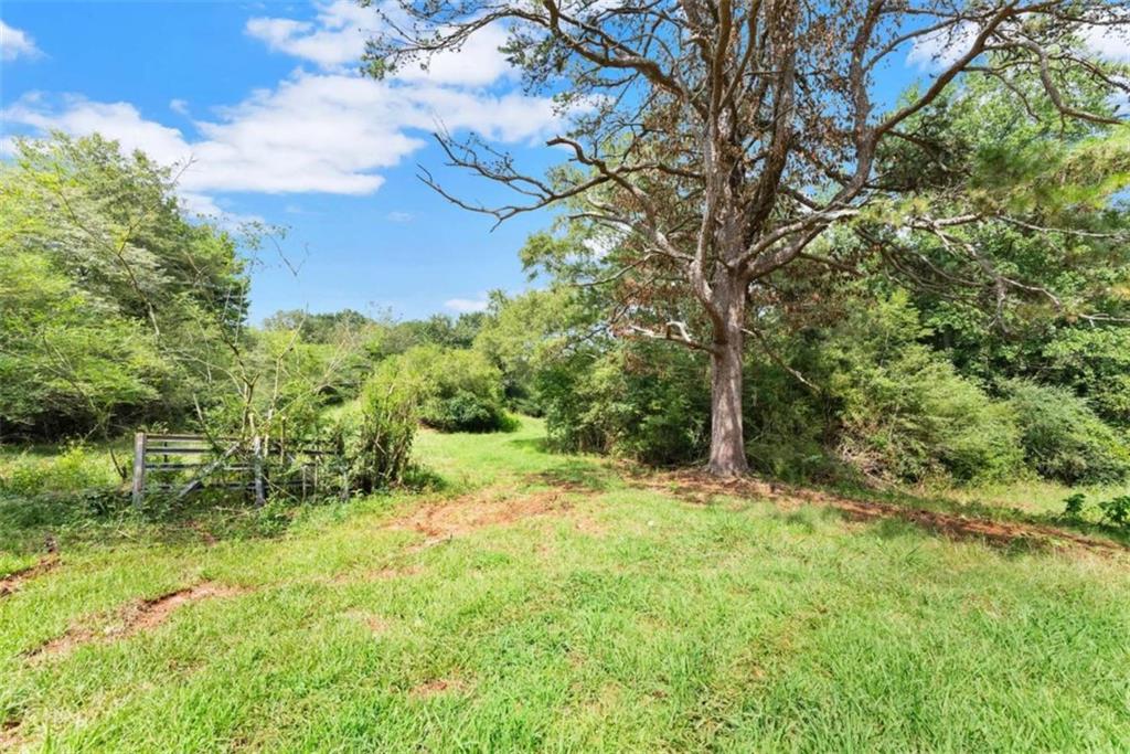 1542 Marlow Road Maysville, GA 30558 - Photo 12 of 35 a view of a yard with large trees