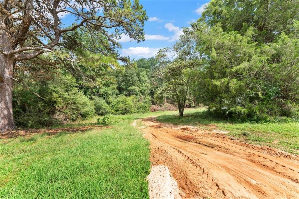 1542 Marlow Road Maysville, GA 30558 - Photo 13 of 35 a view of a yard with plants and trees