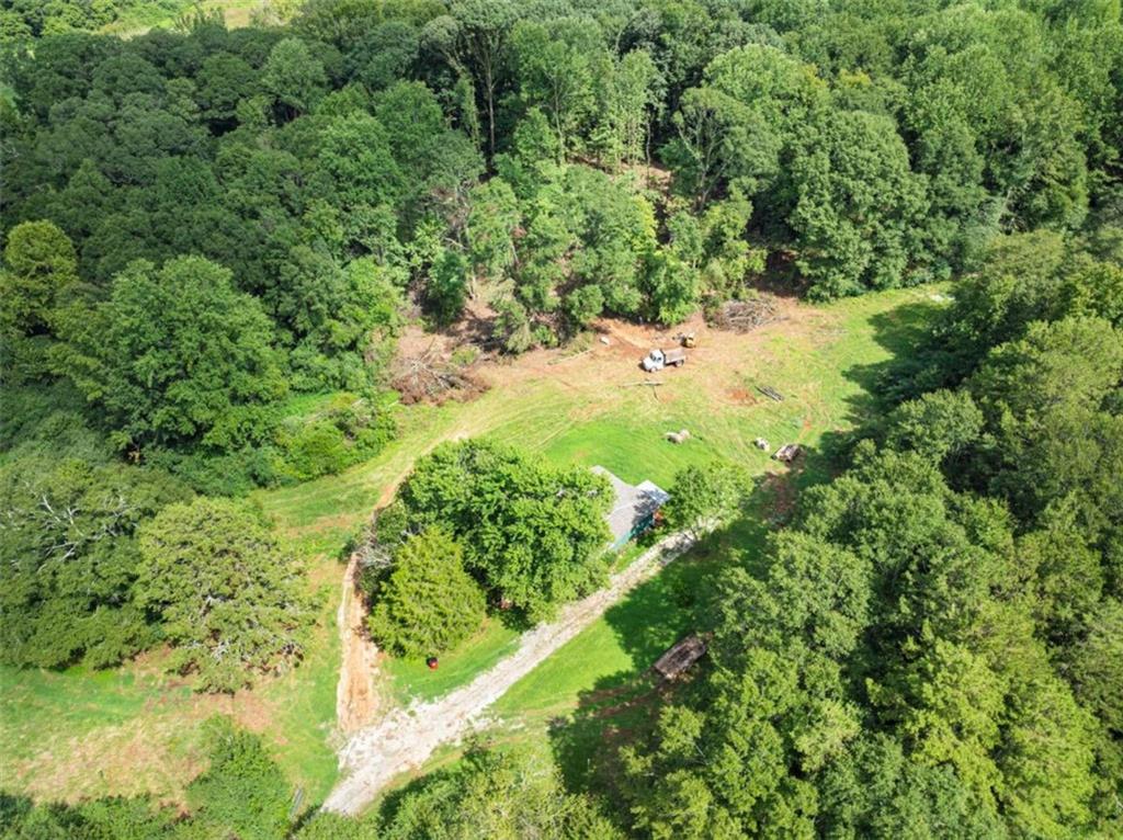1542 Marlow Road Maysville, GA 30558 - Photo 14 of 35 a view of a garden with a tree