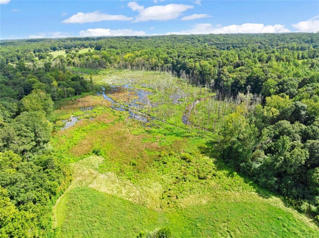 1542 Marlow Road Maysville, GA 30558 - Photo 19 of 35 a view of lake with a city