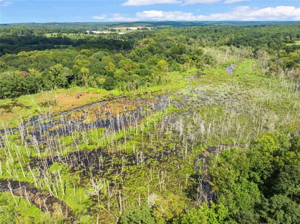1542 Marlow Road Maysville, GA 30558 - Photo 20 of 35 a view of a green field with an outdoor space