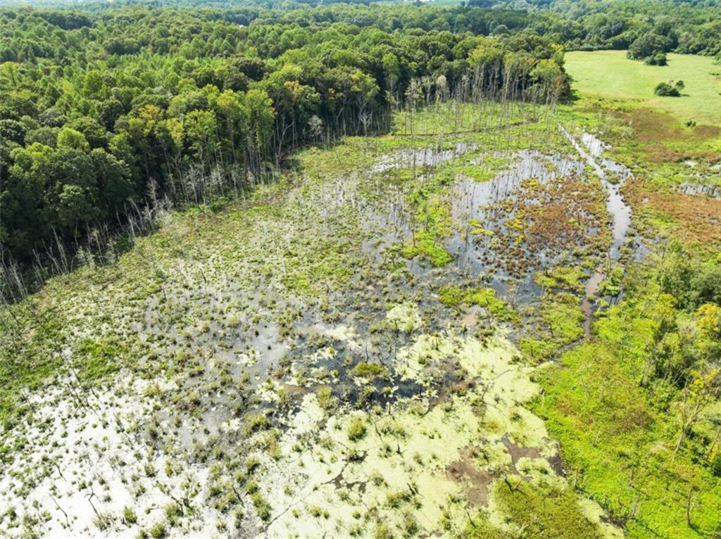 1542 Marlow Road Maysville, GA 30558 - Photo 21 of 35 a view of a lake view
