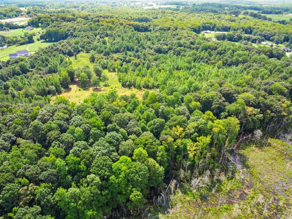 1542 Marlow Road Maysville, GA 30558 - Photo 22 of 35 a view of a forest with a street