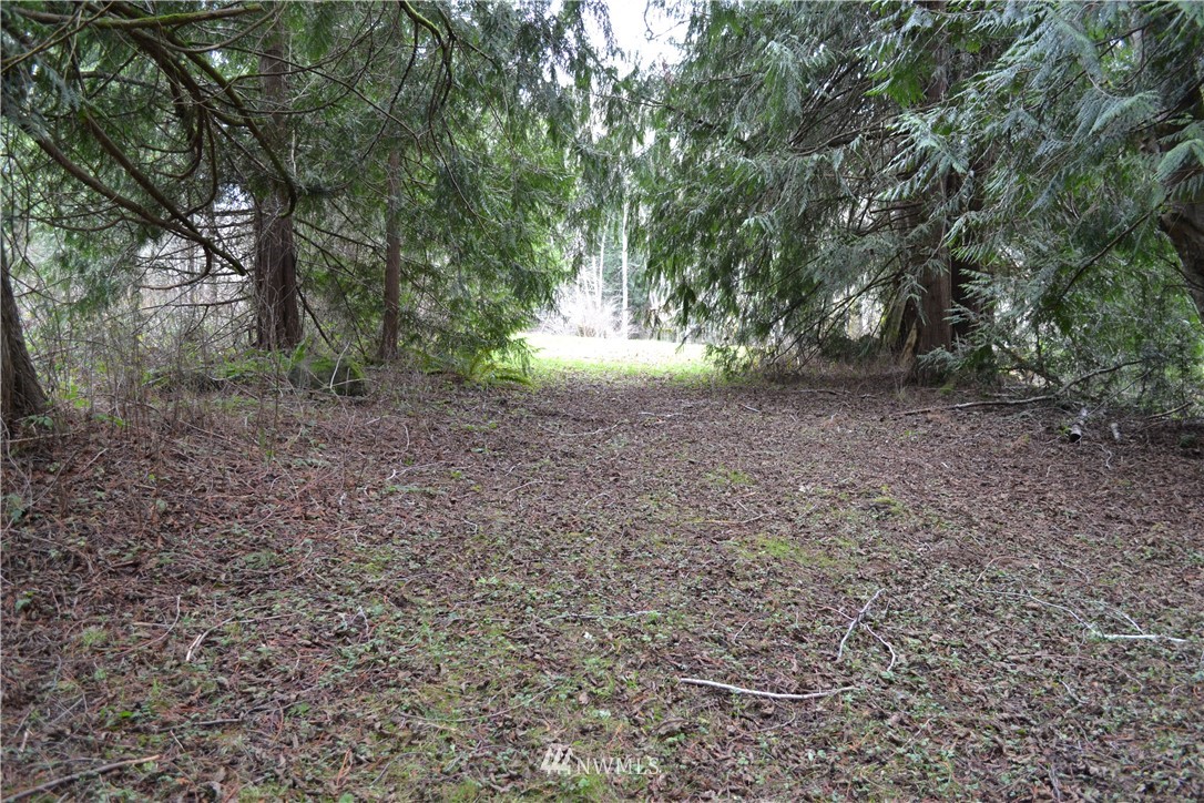 9999 Wasankari Road Port Angeles, WA 98363 - Photo 2 of 32 Gallery Image 2