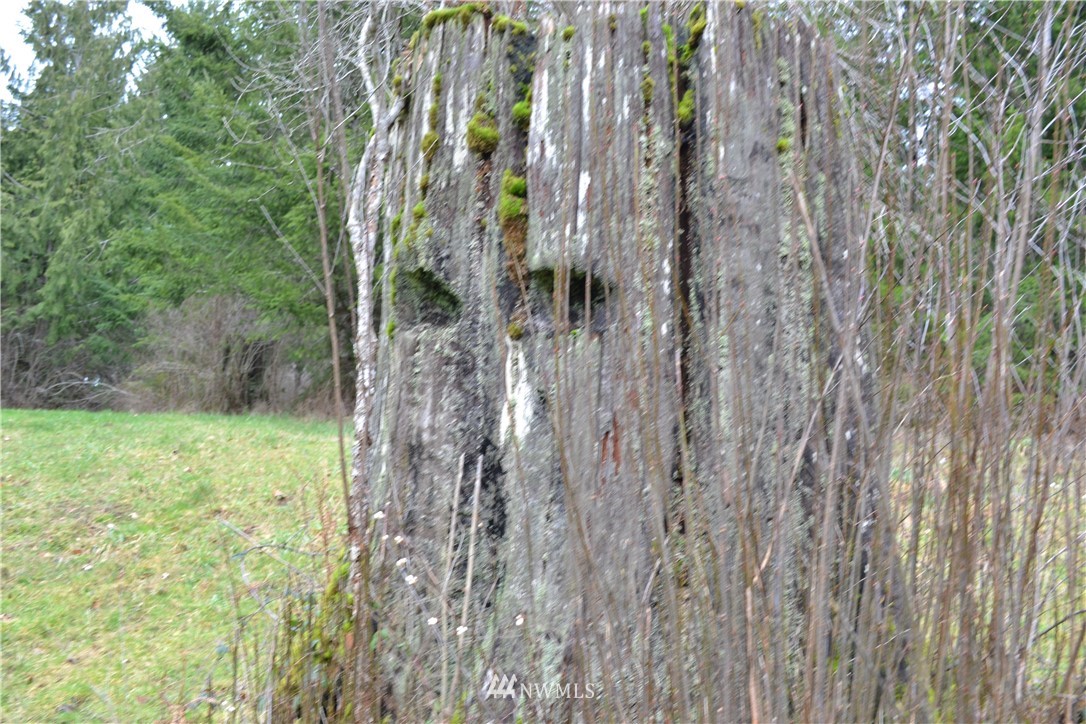 9999 Wasankari Road Port Angeles, WA 98363 - Photo 14 of 32 Gallery Image 14