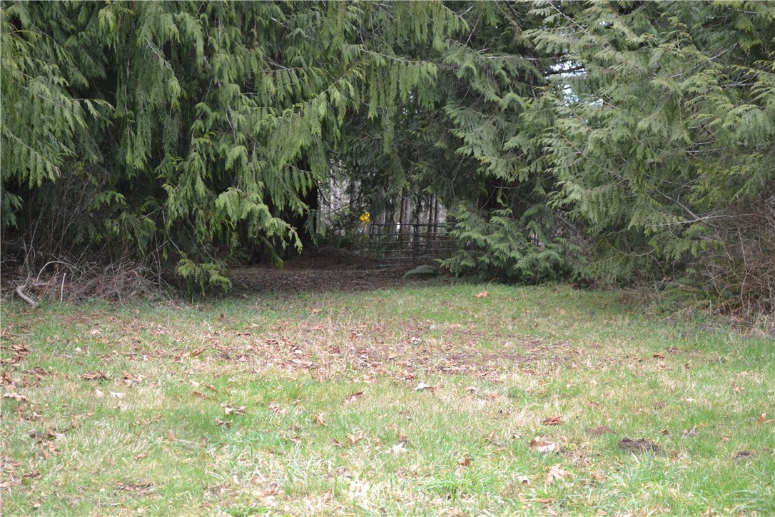 9999 Wasankari Road Port Angeles, WA 98363 - Photo 16 of 32 Gallery Image 16