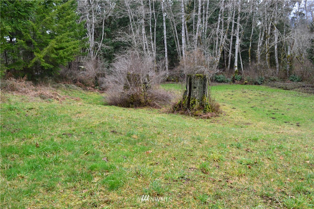 9999 Wasankari Road Port Angeles, WA 98363 - Photo 18 of 32 Gallery Image 18