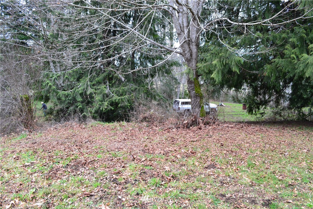9999 Wasankari Road Port Angeles, WA 98363 - Photo 20 of 32 Gallery Image 20