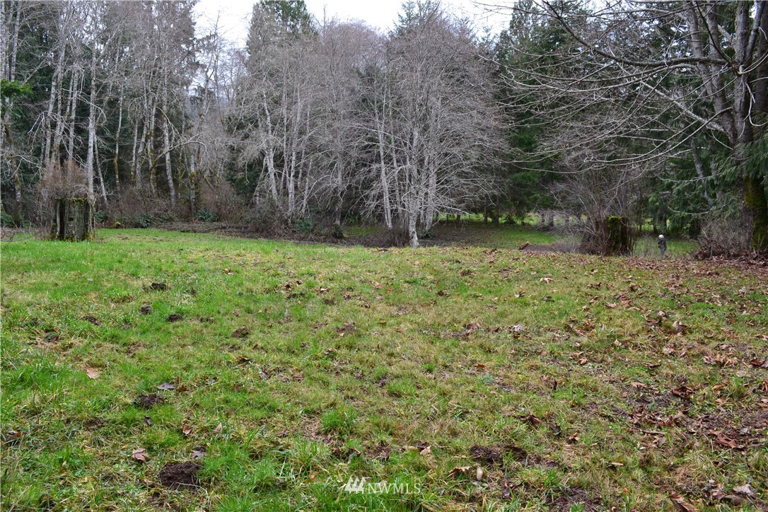 9999 Wasankari Road Port Angeles, WA 98363 - Photo 22 of 32 Gallery Image 22