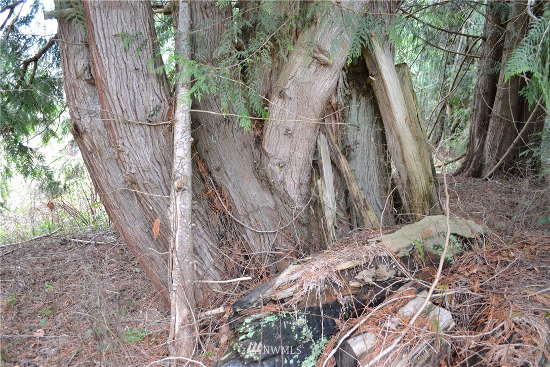 9999 Wasankari Road Port Angeles, WA 98363 - Photo 23 of 32 Gallery Image 23