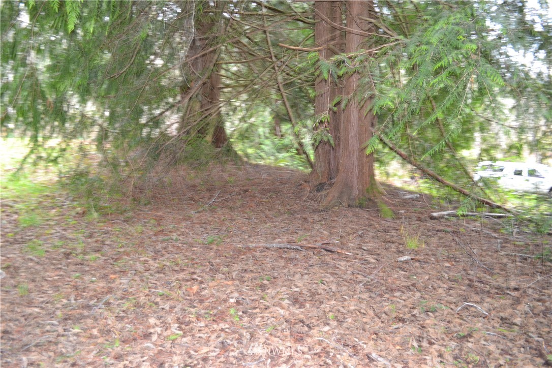 9999 Wasankari Road Port Angeles, WA 98363 - Photo 25 of 32 Gallery Image 25